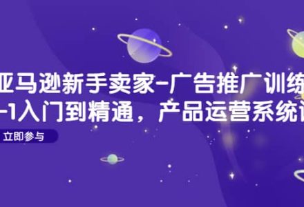 亚马逊新手卖家-广告推广训练营：0-1入门到精通，产品运营系统课-创艺项目网