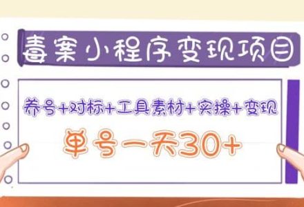 毒案小程序变现项目：养号 对标 工具素材 实操 变现-创艺项目网