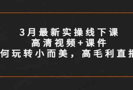 3月最新实操线下课高清视频 课件，如何玩转小而美，高毛利直播间-创艺项目网