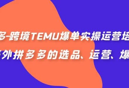 拼多多-跨境TEMU爆单实操运营培训班，海外拼多多的选品、运营、爆单-创艺项目网