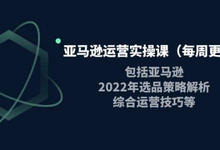 亚马逊运营实操课（每周更新）包括亚马逊2022选品策略解析，综合运营技巧等-创艺项目网