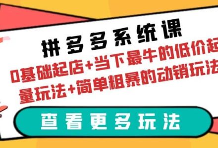 拼多多系统课：0基础起店 当下最牛的低价起量玩法 简单粗暴的动销玩法-创艺项目网