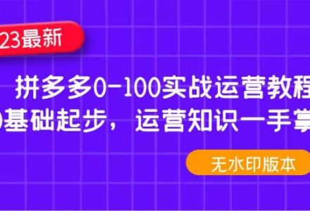 2023拼多多0-100实战运营教程，0基础起步，运营知识一手掌握（无水印）-创艺项目网