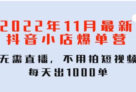 2022年11月最新抖音小店爆单训练营：无需直播，不用拍短视频，每天出1000单-创艺项目网