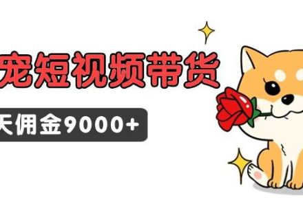 东哲日记·萌宠短视频带货，2天佣金9000+-创艺项目网