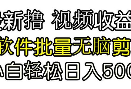 发视频撸收益，软件无脑批量剪辑，第一天发第二天就有钱-创艺项目网