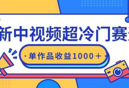 最新中视频超冷门赛道，轻松过原创，单条视频收益1000＋-创艺项目网