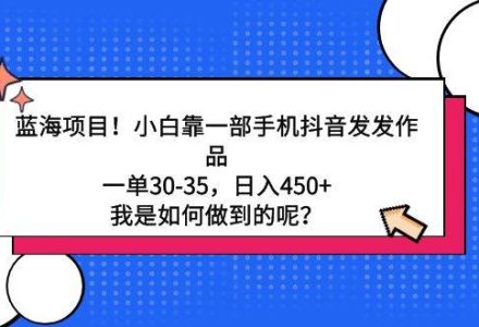 蓝海项目！小白靠一部手机抖音发发作品，一单30-35，日入450+，我是如何…-创艺项目网