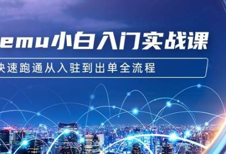 Temu小白入门实战课：跨境拼多多电商培训 快速跑通从入驻到出单全流程-12节-创艺项目网