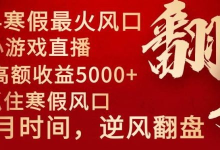 2024年最火寒假风口项目 小游戏直播 单场收益5000 抓住风口 一个月直接提车-创艺项目网