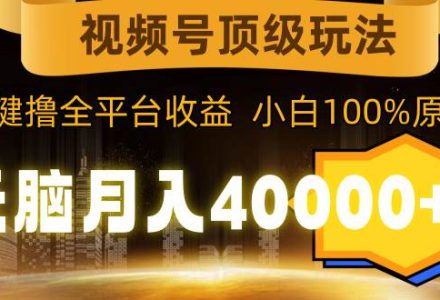 视频号顶级玩法，无脑月入40000+，一键撸全平台收益，纯小白也能100%原创-创艺项目网