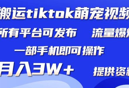 搬运Tiktok萌宠类视频，一部手机即可。所有短视频平台均可操作，月入3W+-创艺项目网