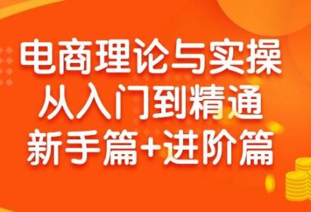 电商理论与实操从入门到精通 新手篇+进阶篇-创艺项目网