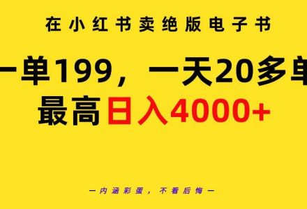 在小红书卖绝版电子书，一单199 一天最多搞20多单，最高日入4000+教程+资料-创艺项目网