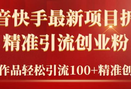 2024年抖音快手最新项目拆解视频引流创业粉，一天轻松引流精准创业粉100+-创艺项目网