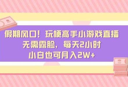 假期风口！玩梗高手小游戏直播，无需露脸，每天2小时，小白也可月入2W-创艺项目网