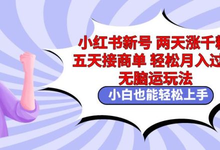 小红书新号两天涨千粉五天接商单轻松月入过万 无脑搬运玩法 小白也能轻…-创艺项目网