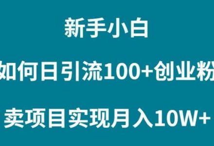 新手小白如何通过卖项目实现月入10W+-创艺项目网