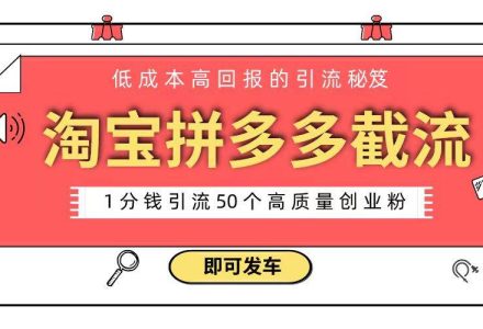 淘宝拼多多电商平台截流创业粉 只需要花上1分钱，长尾流量至少给你引流50粉-创艺项目网