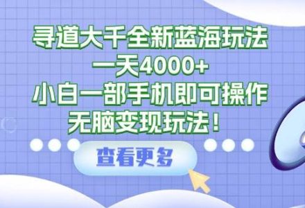 寻道大千全新蓝海玩法，一天4000+，小白一部手机即可操作，无脑变现玩法！-创艺项目网