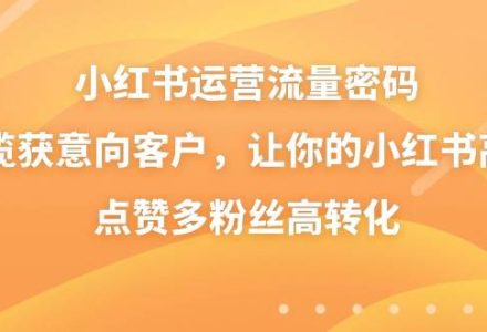 小红书运营流量密码，揽获意向客户，让你的小红书高点赞多粉丝高转化-创艺项目网