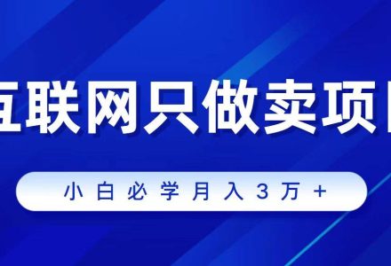 互联网的尽头就是卖项目，被割过韭菜的兄弟们必看！轻松月入三万以上！-创艺项目网