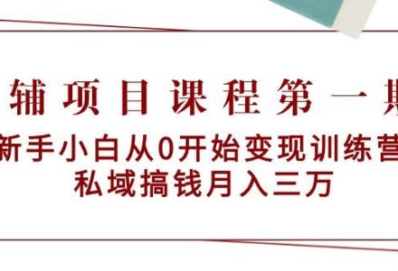 教辅项目课程第一期：新手小白从0开始变现训练营  私域搞钱月入三万-创艺项目网