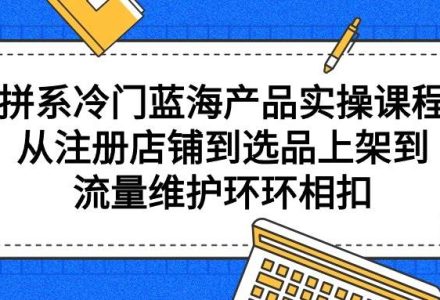 拼系冷门蓝海产品实操课程，从注册店铺到选品上架到流量维护环环相扣-创艺项目网