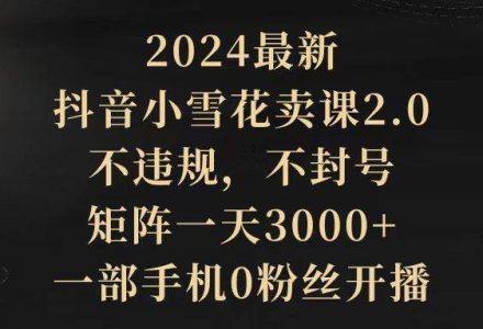 2024最新抖音小雪花卖课2.0 不违规 不封号 矩阵一天3000+一部手机0粉丝开播-创艺项目网