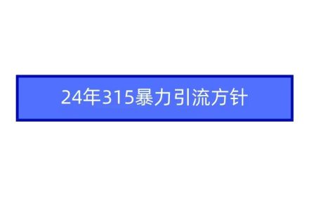 2024年315暴力引流方针-创艺项目网