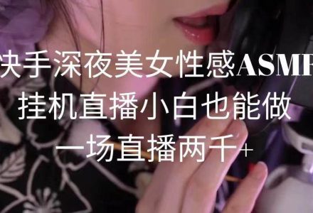 快手深夜美女性感ASMR挂机直播，小白也能做，一场直播两千+-创艺项目网