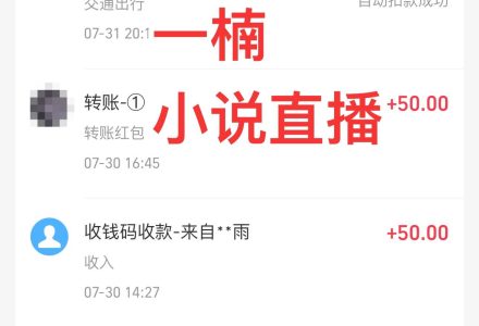 24最新抖音无人直播小说直播项目，实测单日变现2000＋，不用出镜，在家…-创艺项目网