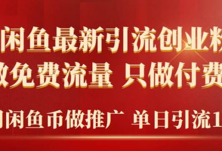 2024年闲鱼币推广引流创业粉，不做免费流量，只做付费流量，单日引流100+-创艺项目网