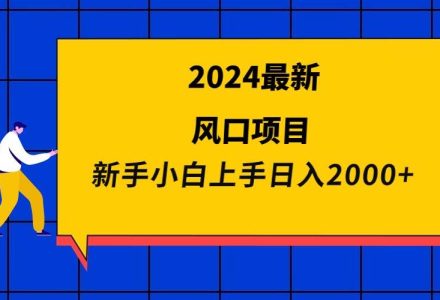 2024最新风口项目 新手小白日入2000+-创艺项目网