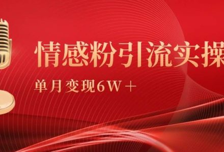 单月变现6w+，情感粉引流变现实操课-创艺项目网