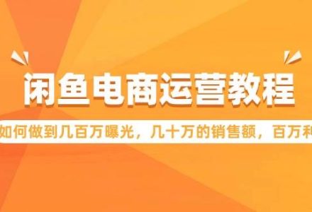 闲鱼电商运营教程：如何做到几百万曝光，几十万的销售额，百万利润-创艺项目网