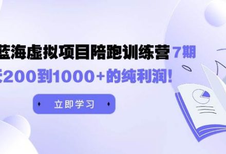 黄岛主《淘宝蓝海虚拟项目陪跑训练营7期》每天200到1000+的纯利润-创艺项目网