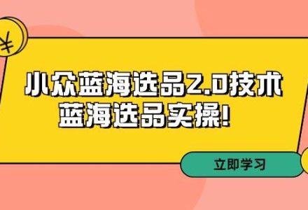 拼多多培训第33期：小众蓝海选品2.0技术-蓝海选品实操！-创艺项目网