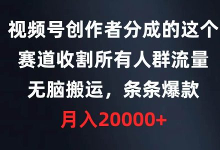 视频号创作者分成的这个赛道，收割所有人群流量，无脑搬运，条条爆款，…-创艺项目网