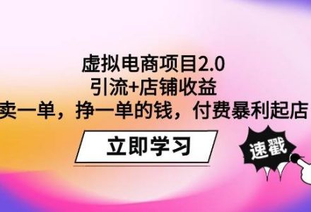 虚拟电商项目2.0：引流+店铺收益  卖一单，挣一单的钱，付费暴利起店-创艺项目网