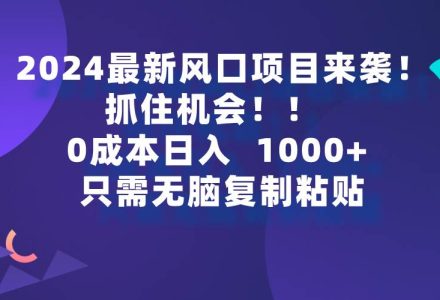 2024最新风口项目来袭，抓住机会，0成本一部手机日入1000+，只需无脑复…-创艺项目网