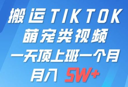 一键搬运TIKTOK萌宠类视频 一部手机即可操作 所有平台均可发布 轻松月入5W+-创艺项目网