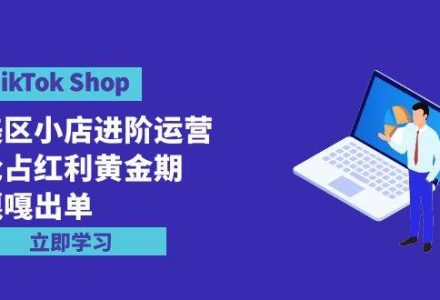 TikTok Shop-美区小店进阶运营，抢占红利黄金期 嘎嘎出单（7节课）-创艺项目网