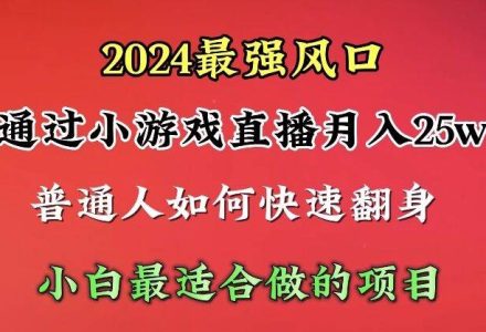 2024年最强风口，通过小游戏直播月入25w+单日收益5000+小白最适合做的项目-创艺项目网