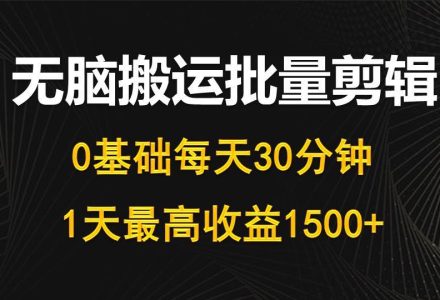 每天30分钟，0基础无脑搬运批量剪辑，1天最高收益1500+-创艺项目网