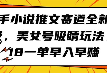 快手小说推文赛道全新升级，美女号吸睛玩法，18一单早入早赚-创艺项目网