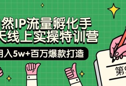 自然IP流量孵化手 14天线上实操特训营【第9期】月入5w+百万爆款打造 (74节)-创艺项目网