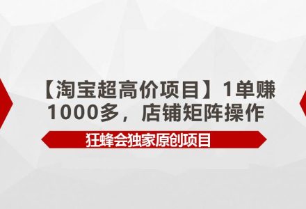 【淘宝超高价项目】1单赚1000多，店铺矩阵操作-创艺项目网