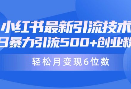 日引500+月变现六位数24年最新小红书暴力引流兼职粉教程-创艺项目网