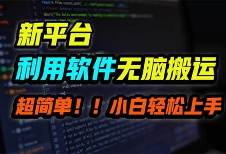 新平台用软件无脑搬运，月赚10000+，小白也能轻松上手-创艺项目网